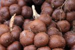 Snake fruit - salak